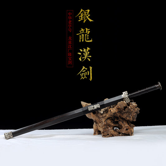 銀龍漢劍｜沈廣隆｜主圖